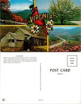 Virginia(VA) Greetings Cardinal Skyline Drive Dogwood Autumn Fall VTG Postcard - £7.43 GBP