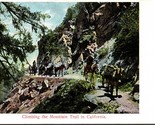 Vintage M. Rieder Postcard - Climbing the Mountain Trail in California  - $6.88