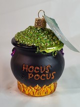 Old World HOCUS POCUS Glass Holiday Ornament Cauldron of Potion NWT Chri... - $22.72