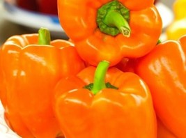 PSA Natural Plant Food Fertilizer Plant Food Makes 5 Gallons All Natural... - $29.60