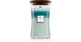 Woodwick Icy Woodland candela profumata con stoppino in legno 609,5 g - £45.80 GBP