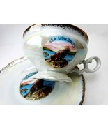 SEA LION CAVES OREGON 1950s Tourist Lusterware TEACUP - £23.17 GBP