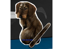 Wire Hair Dachshund dog rear window wiper wagging tail sticker - $12.99
