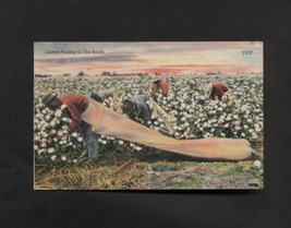 Vintage Postcard Linen 1940s Picking Cotton Old South Black Memorabilia    - $5.99