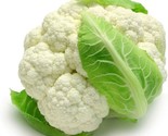 250 Self Blanching Cauliflower Seeds Fast Shipping - £7.20 GBP