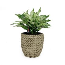 Catleza 10.6&quot; Self-Watering Wicker Planter - Garden Decoration Pot - Beige - Rou - £22.98 GBP