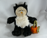 Starbucks Bearista Plush Bear in Cat Costume w pumpkin 2005 Halloween 41... - $13.85