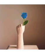 VUDECO Hand Statue Small Vase Unique  - $283.73 MXN