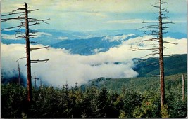 1957 Above the Clouds Clingmans Dome Smoky Mountains National Park Postcard - £3.91 GBP