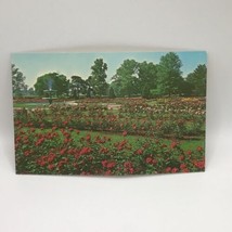Jewel Box Forest Park St. Louis Vintage Postcard - £6.31 GBP
