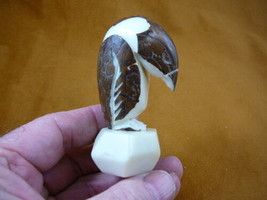 TNE-PEN-282B) Emperor Penguin ice bird TAGUA NUT figurine carving Antartica King - £17.42 GBP