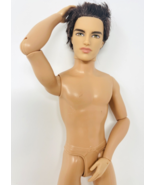 Barbie Articulated Fashionistas Brunette Rooted Hair Ken Ryan Doll Hottie - $49.99