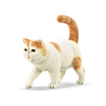CollectA Exotic Shorthair Cat Figure (Small) - £25.60 GBP