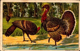 Embossed POSTCARD- Thanksgiving Series #910 &quot;Thanksgiving Greetings&quot; BKC2 - £4.74 GBP
