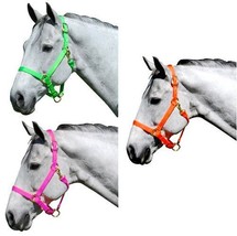 Nylon Halter Neon Green Pink or Orange in Cob Horse or Large Horse Size - £15.69 GBP