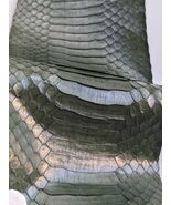 Cobra Snake Skin Piece Snakeskin Leather Hide Craft Supply Back-cut Dark Green - $171.88 MXN - $280.11 MXN