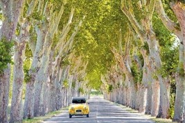 Tom Mackie Photography Poster ~ 2CV Tree Lined Road 24x36 Trees Travel 0485 - £6.73 GBP