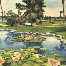 Florida Vintage Postcard Waterfront Park Daytona Beach - £7.92 GBP