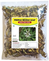 Dried Poonai Meesai Orthosiphon Stamineus Java Tea Leaf Cat Whiskers 100g - $14.41