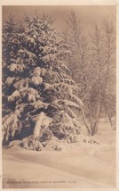 Winter Scene North Conway New Hampshire NH Real Photo RPPC Postcard C27 - £2.38 GBP