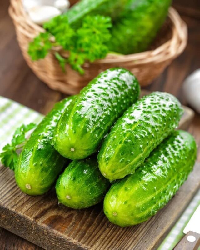 BEST 25 Seeds Easy To Grow South Dakota Cucumbers Great Tasting Crunchy Cucks Ve - £7.72 GBP