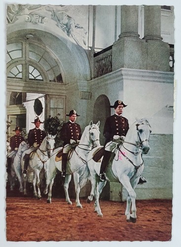 Postcard Wien Spanische Reitschule Einreiten Zur Schulquadrille 1967 Lip... - $5.75