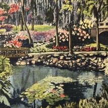 Florida Vintage Postcard Dickson Azalea Orlando Nature - £7.86 GBP