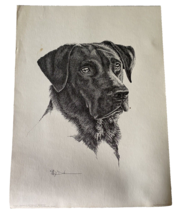 Mary Dove Texas Artist Signed Art Print Black Labrador Retriever Beowolf Vintage - £149.65 GBP