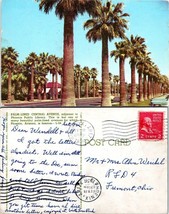 USA Arizona Phoenix Palm Lined Central Avenue Posted 1956 Fremont Ohio Postcard - £7.42 GBP