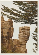 China Boy Chiricahua National Monument Bonita Canyon Fort Grant Az Postcard - £2.74 GBP
