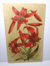New Years Postcard Greetings Tiger Lillie&#39;s Flowers 1910 Vintage Series 2410 - £7.41 GBP