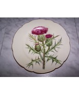 Antique 1876-1886 H&Co Haviland Decorative Plate (Thistle) - $24.99