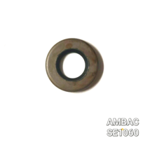 Ambac SE1060 Seal, Pack Of 5 - £20.18 GBP