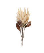 Beige Protea Flower Stem (Set of 2) - €47,16 EUR