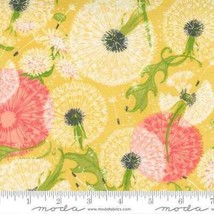 Moda DANDI DUO Maize 48750 12  Quilt Fabric By The Yard - Robin Pickens - £9.18 GBP