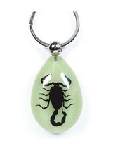 BLACK SCORPION Keychain Ring Glow In Dark Real INSECT Genuine  Key Chain... - €10,30 EUR