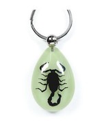 BLACK SCORPION Keychain Ring Glow In Dark Real INSECT Genuine  Key Chain... - $225.52 MXN