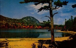 Vintage POSTCARD-CATHEDRAL Ledge &amp; Echo Lake State Park, North Conway, Nh BK40 - £2.13 GBP