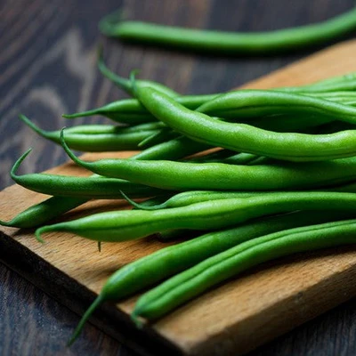 BUSH BEAN LANDRETH Seeds Vegetable Seeds Flower Plant Home Garden 15 Seeds - $8.95