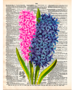 Artnwordz Hyacinth Dictionary Page Wall Art Print - $19.80