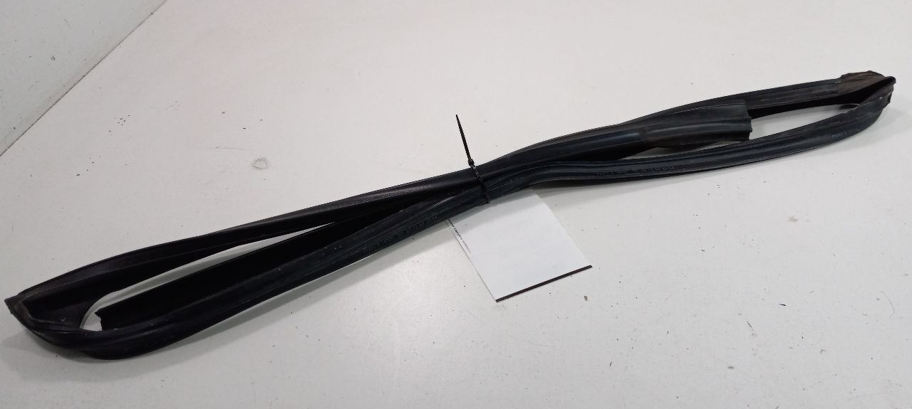 Range Rover Door Glass Window Seal Rubber Left Driver Front 2003 2004 2005 - $49.79