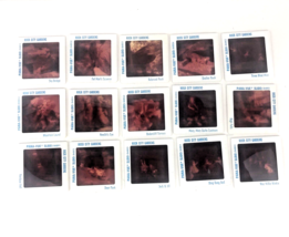 Vintage Pana Vue Slides Lot of 15 Slides Rock City Gardens Lookout Mount... - $17.10