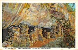 Walnut Canyon Northern Arizona~Ancient Prehistoric Race Cliff Dwellings Postcard - £7.19 GBP