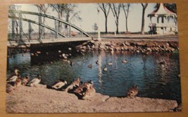 Lakeside Park Zoo Fond Du Lac Wisconsin Postcard - £7.47 GBP