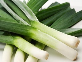 THJAR 50  FRESH HEIRLOOM LEEK AMERICAN FLAG  SEEDS FREE USA SHIPPING - $2.38