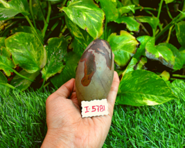 Shiva Lingam Stone Narmada River India Very Simple Pure &amp; Rare Lingam~I-5781 - £27.21 GBP