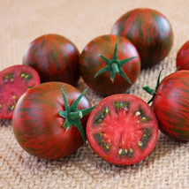 50+ Seeds Zebra Cherry Tomato Tomatoe Vegetable Garden Edible Canning Fr... - $8.94