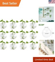 Elegant Hydroponic Glass Terrariums - 12Pcs Wall-Mounted Indoor Planters - $68.49