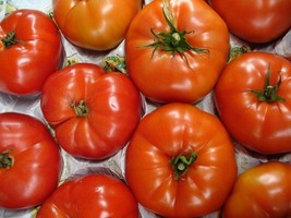 500 pcs Beefsteak Tomato Lycopersicon Lycopersicum Fruit Vegetable Seeds - £7.07 GBP
