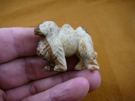 (Y-CAM-567) CAMEL camels TAN BROWN stone gemstone carving DESERT DROMEDA... - $14.01